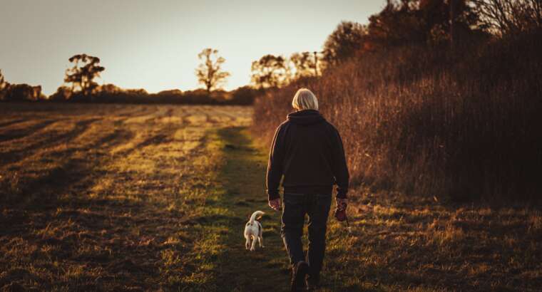 10 Mental and Physical Benefits of Walking Your Dog – Hillsborough NJ