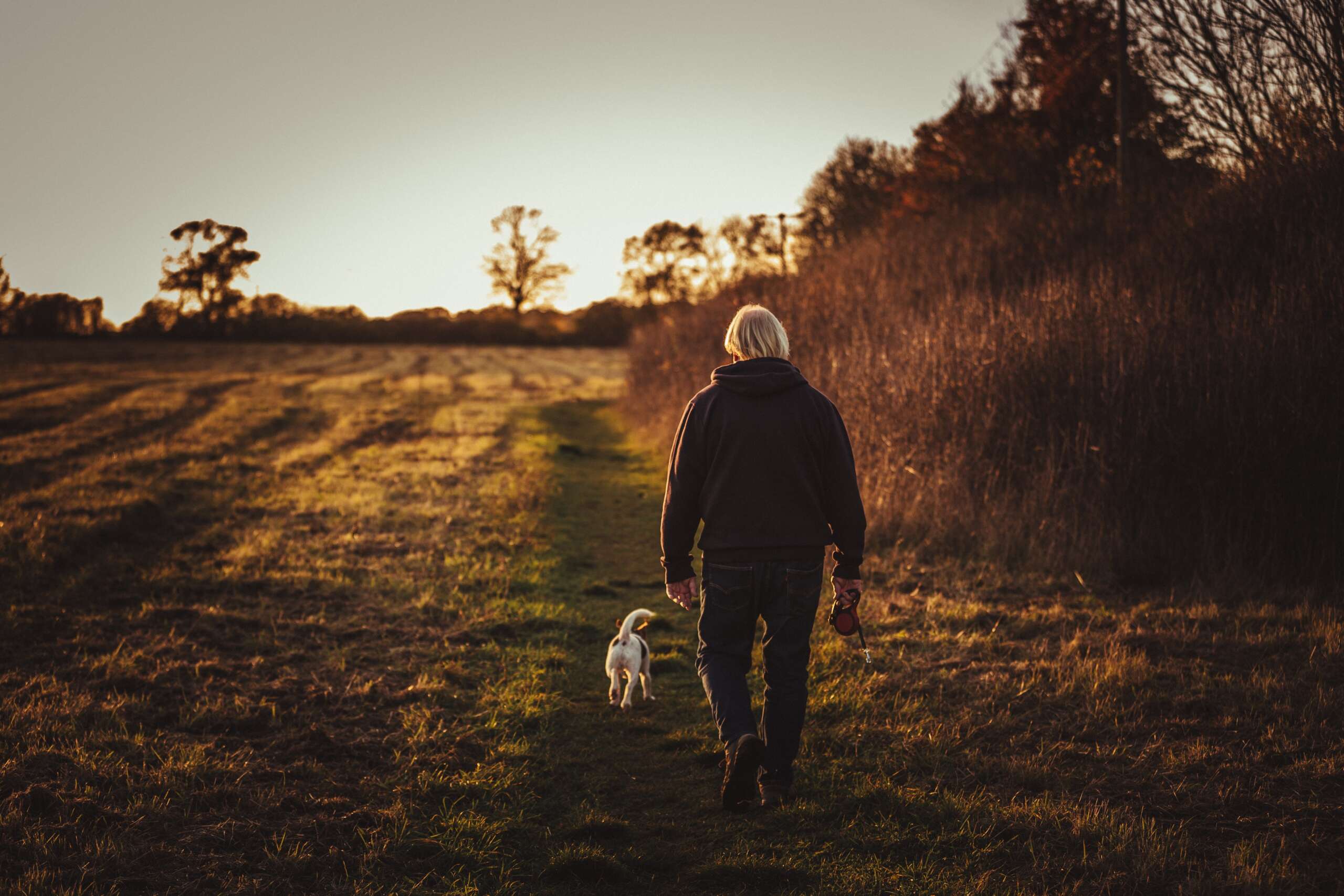 what are the benefits of walking your dog